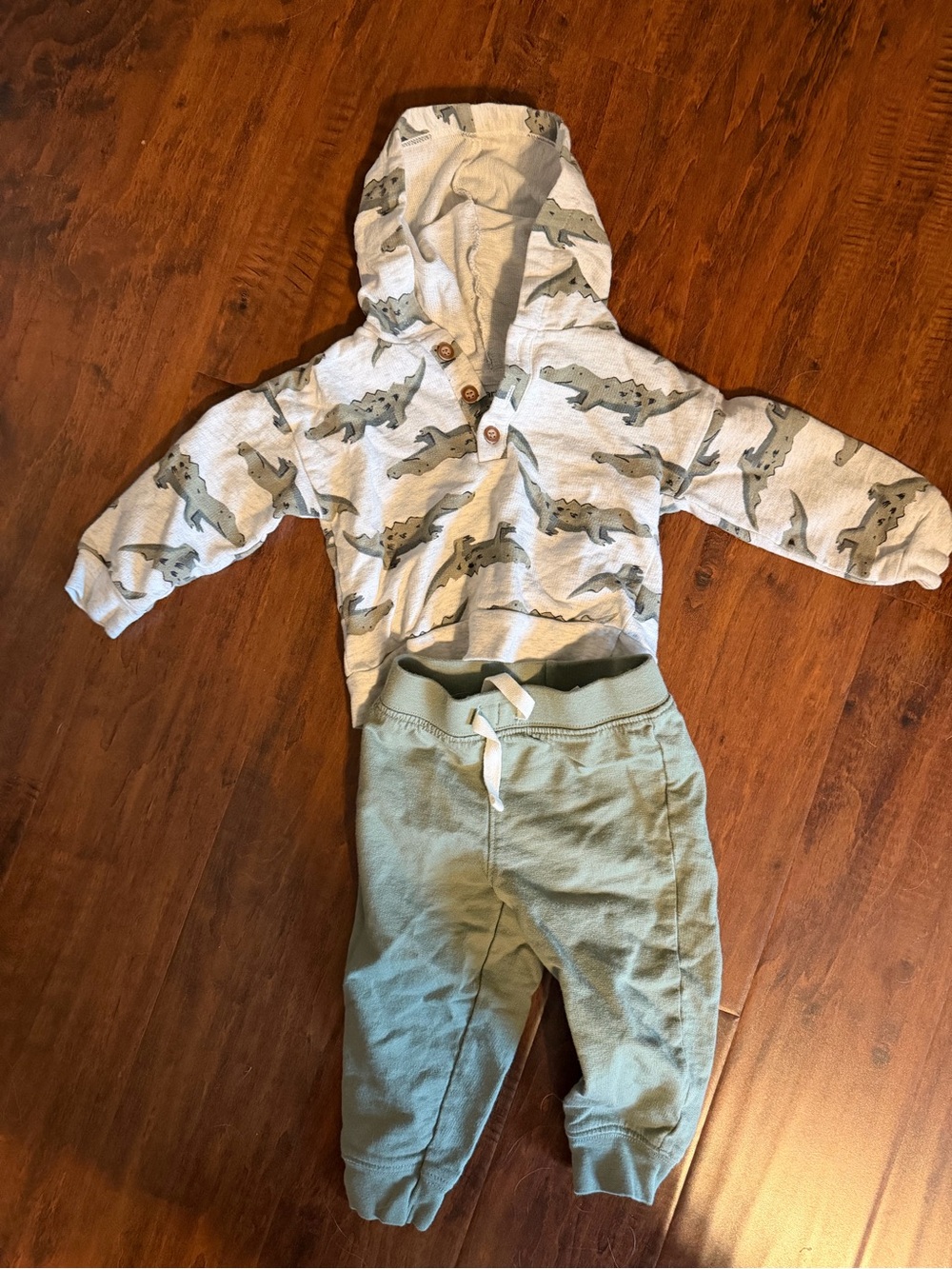 Carters 12 month Alligator sweatshirt and sweatpants set